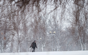 Seasonal affective disorder is more common in wintery places like central New York than places with more sunlight.